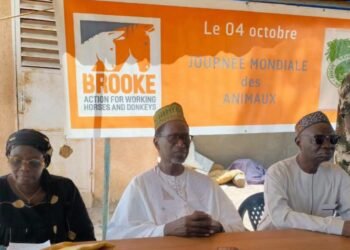 JOURNÉE MONDIALE DES ANIMAUX : MECKHÉ MOBILISÉE POUR LE BIEN-ÊTRE DES ÉQUIDÉS.