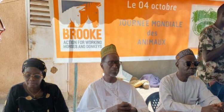 JOURNÉE MONDIALE DES ANIMAUX : MECKHÉ MOBILISÉE POUR LE BIEN-ÊTRE DES ÉQUIDÉS.